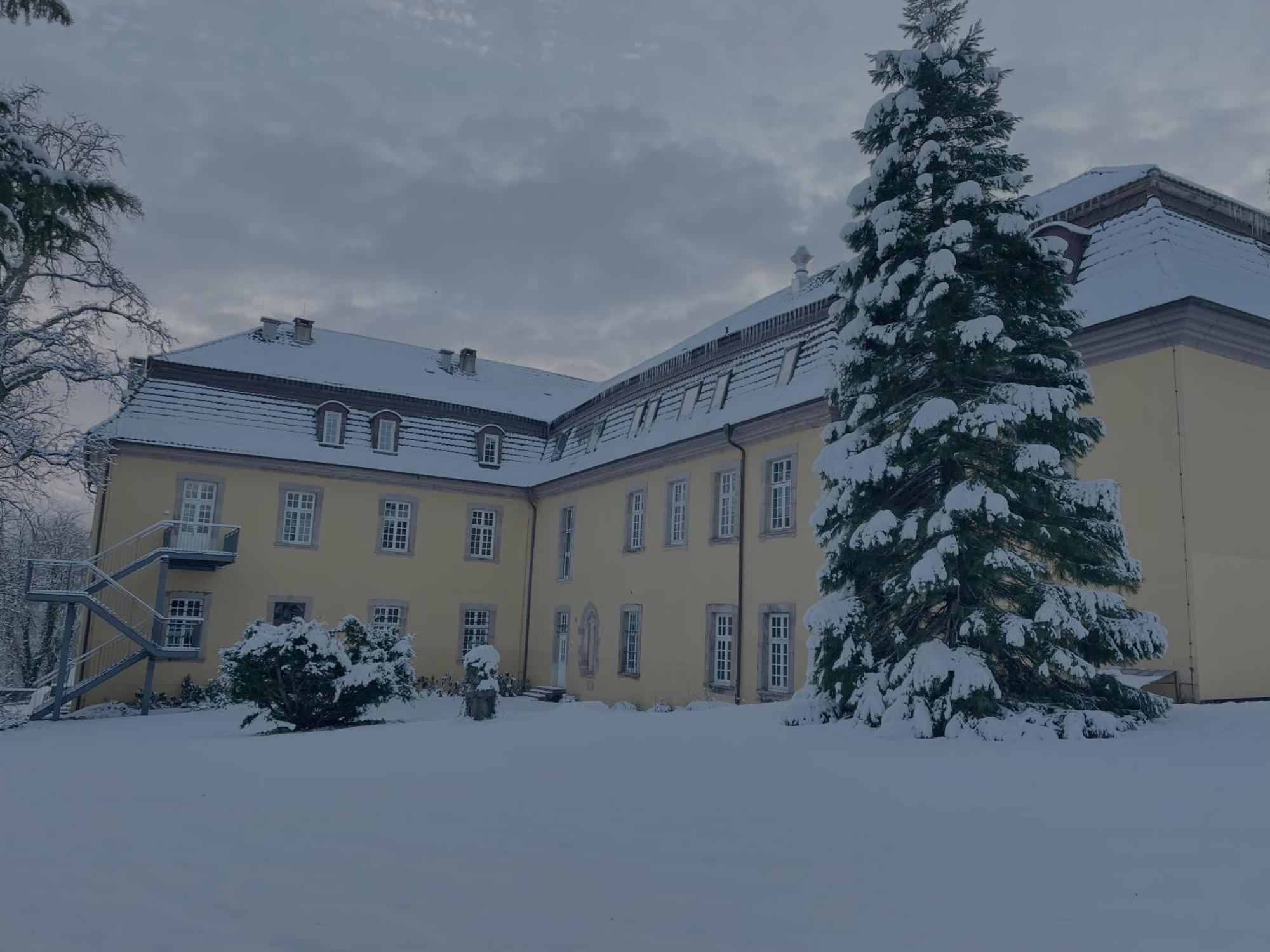 Hotel Schloss Hoehnscheid Бад-Арользен Экстерьер фото